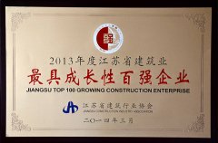 2013年度江苏省建筑业最具成长性百强企业